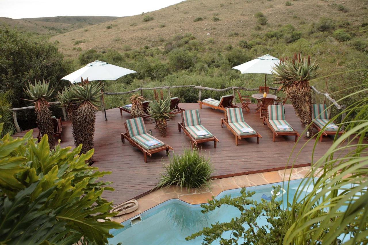 Lalibela Game Reserve Lentaba Safari Lodge Paterson Exterior photo